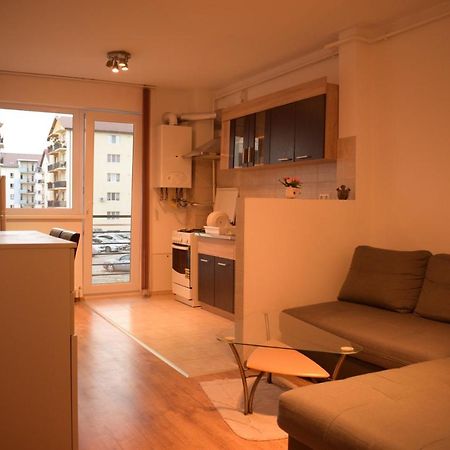 シビウApartament Alexandruアパートメント エクステリア 写真