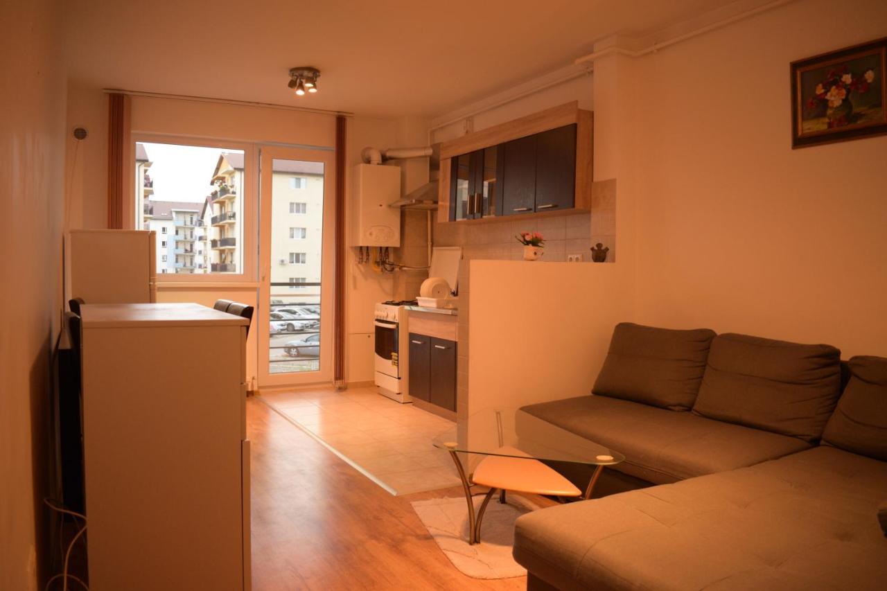 シビウApartament Alexandruアパートメント エクステリア 写真