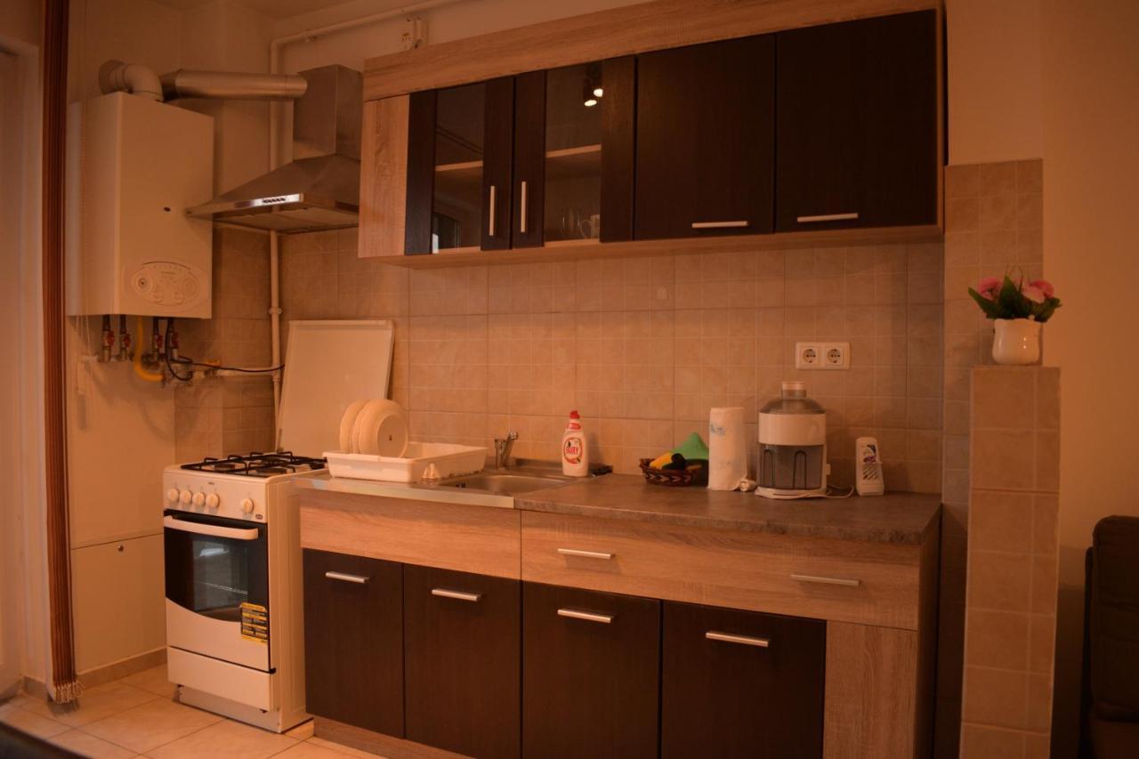 シビウApartament Alexandruアパートメント エクステリア 写真