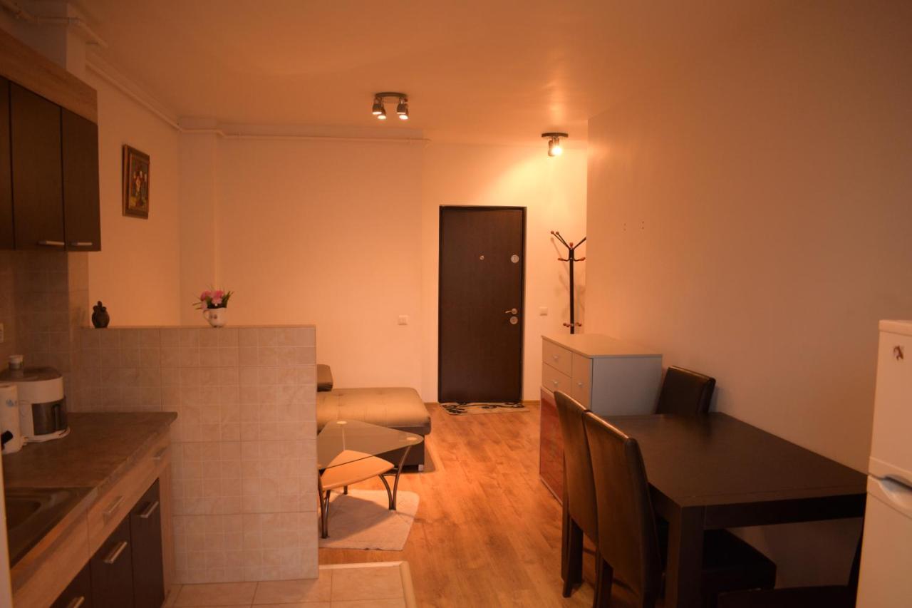シビウApartament Alexandruアパートメント エクステリア 写真